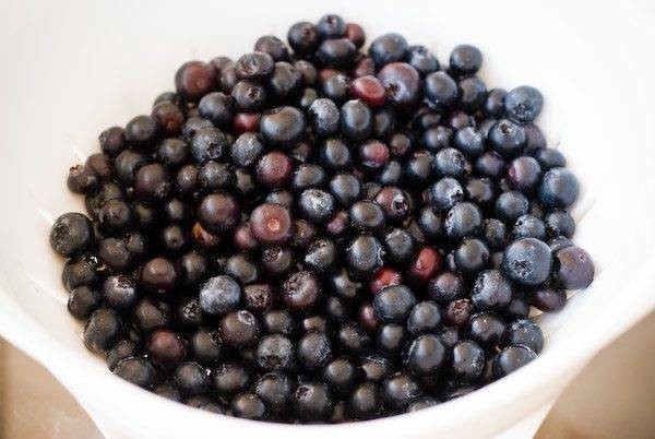 bowl of blueberries