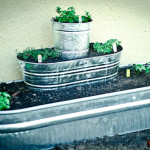 How to Build a Raised Herb Garden Out Of Galvanized Tubs