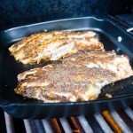 blackened grouper