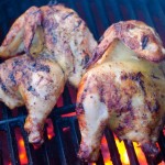 Citrus, Garlic and Chipotle Marinated Chicken