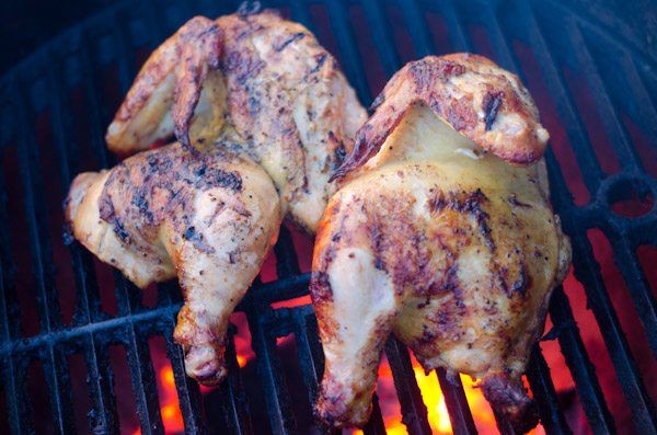 Citrus, Garlic and Chipotle Marinated Chicken