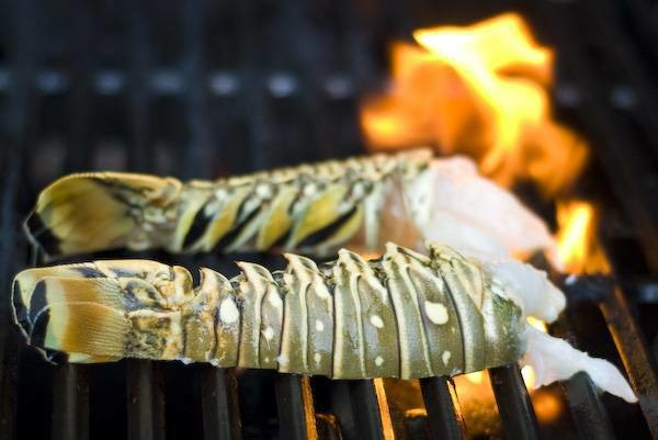 lobster tails on the grill