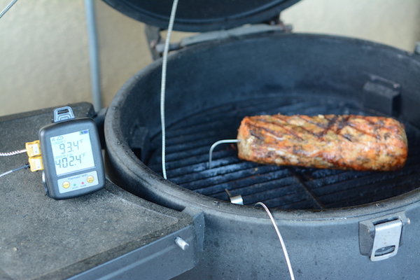 ThermoWorks Thermapen ONE Review - Hey Grill, Hey